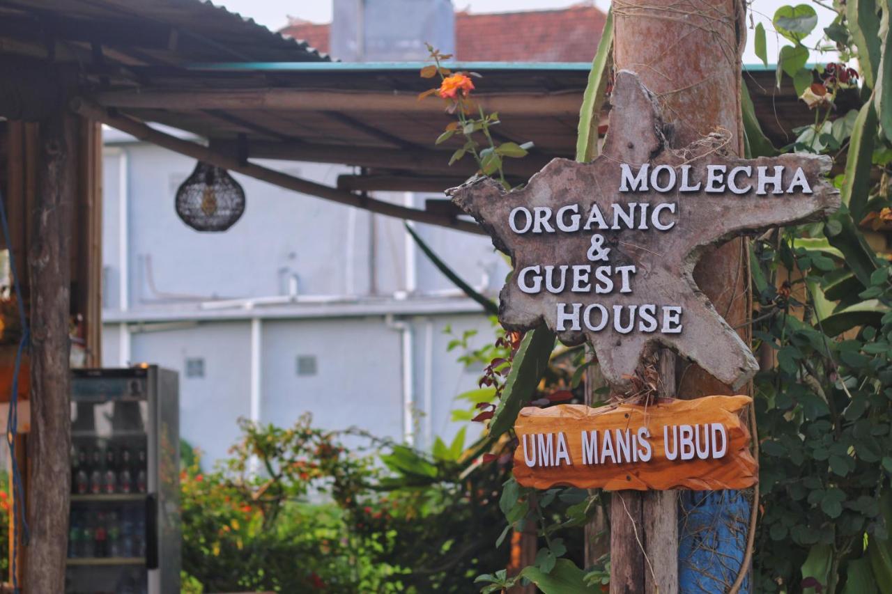 Uma Manis Ubud 외부 사진
